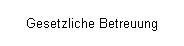 Gesetzliche Betreuung